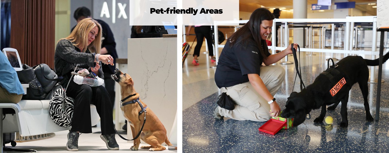 Services DFW airport pet friendly